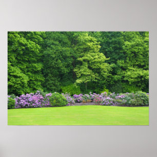 Kolonialparc in Brüssel, Belgien Poster
