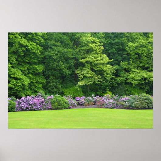 Kolonialparc in Brüssel, Belgien Poster (Vorne)