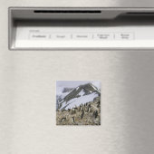 Kolonie der Chinstrap-Pinguine Magnet (In Situ (Geschirrspüler))