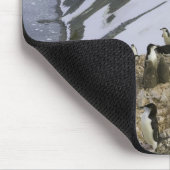 Kolonie der Chinstrap-Pinguine Mousepad (Ecke)