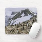 Kolonie der Chinstrap-Pinguine Mousepad (Mit Mouse)