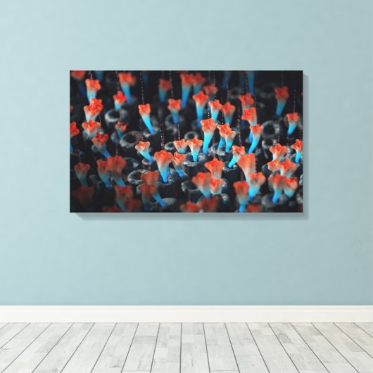 Kolonie Leinwanddruck (Insitu (Holzboden))