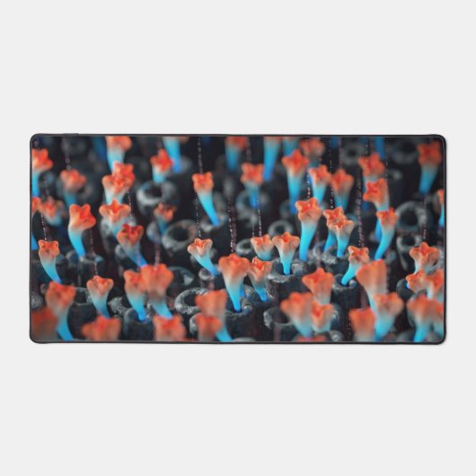 Kolonie Schreibtischunterlage (Vorderseite)