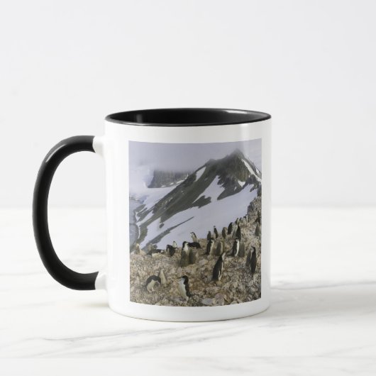 Kolonie von Chinstrap Pinguinen Tasse (Links)