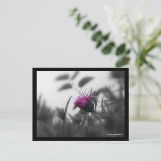 Koloriertes Aster mit schwarzer Grenze Postkarte (Stehend Vorderseite)