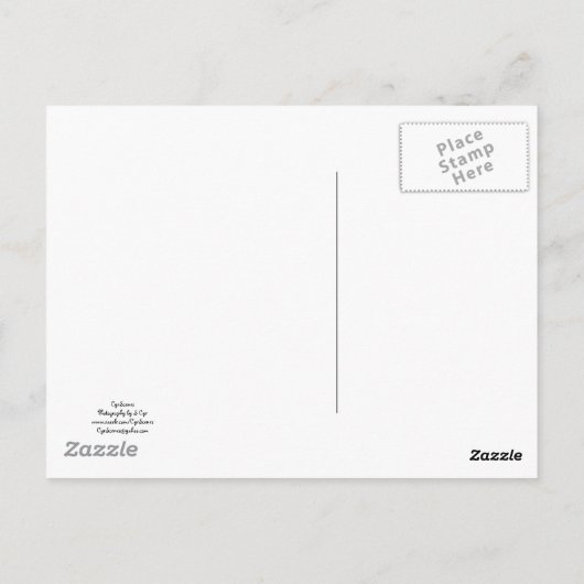 Koloseum Postkarte (Rückseite)