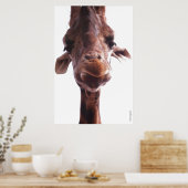 KOLOSSAL POSTERS - GIRAFFE-GESICHT - SPASS FOTO POSTER (Küche)