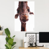 KOLOSSAL POSTERS - GIRAFFE-GESICHT - SPASS FOTO POSTER (Heimbüro)