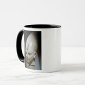 Kolossaler Kopf von Amenhotep III, vom Al-Qurnah Tasse (Vorderseite Links)