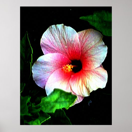 Kolossales 72" x 52" und 52" x 72" Giclée Kunst Poster (Vorne)