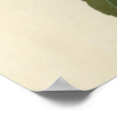 Kolumbianer Hummingbird Poster (Ecke)