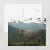 Kolumbianische Postkarte (Vorne/Hinten)