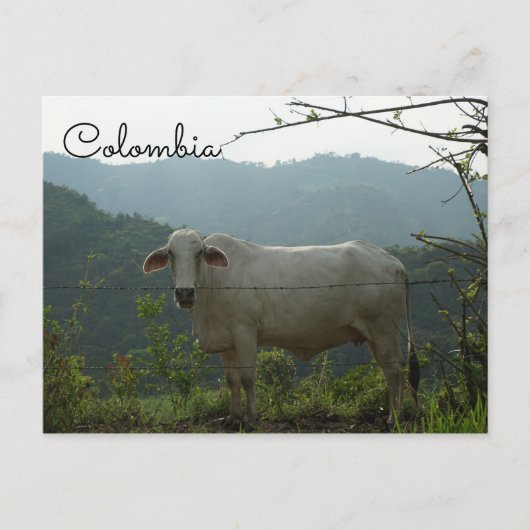Kolumbianische Postkarte (Vorderseite)