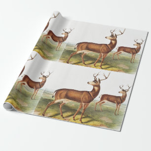 Kolumbianischer Schwarzschwanzhirsch (Cervus Richa Geschenkpapier