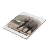 Kolumbianisches Mammut Fliese (Seite)