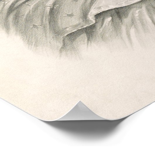 Kolumbien, die weibliche Personifizierung der USA Poster (Ecke)