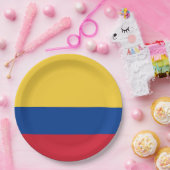 Kolumbien-Flagge Pappteller (Party)