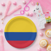Kolumbien-Flagge Pappteller (Party)