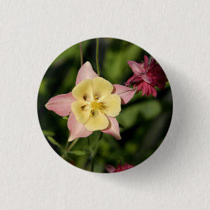 Kolumbien mit Star Shaped Blätter Button