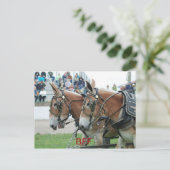 Kolumbien Postkarte (Stehend Vorderseite)