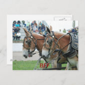 Kolumbien Postkarte (Vorne/Hinten)