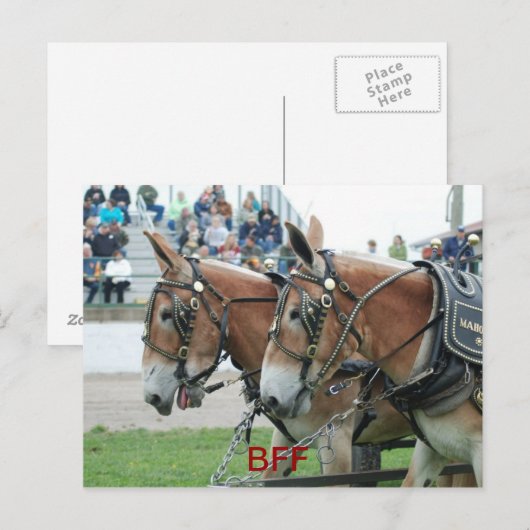 Kolumbien Postkarte (Vorne/Hinten)