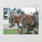 Kolumbien Postkarte (Vorderseite)