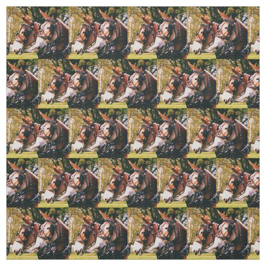Kolumbien, TN-Maultier-Tage Stoff (Muster)