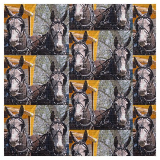 Kolumbien, TN-Maultier-Tage Stoff (Muster)