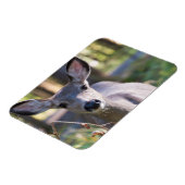 Kolumbischer Schwarzschwanzhund | Washingtoner Sta Magnet (Linke Seite)