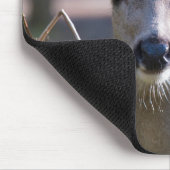 Kolumbischer Schwarzschwanzhund | Washingtoner Sta Mousepad (Ecke)