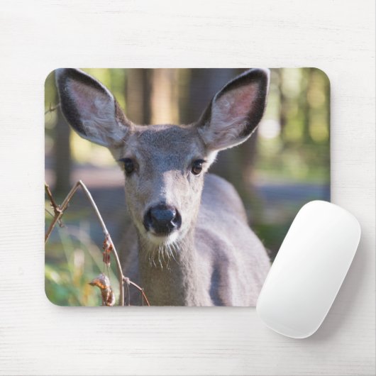 Kolumbischer Schwarzschwanzhund | Washingtoner Sta Mousepad (Mit Mouse)