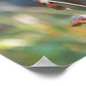 Kolumbischer Schwarzschwanzhund | Washingtoner Sta Poster (Ecke)