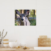 Kolumbischer Schwarzschwanzhund | Washingtoner Sta Poster (Küche)