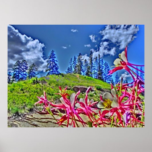 Kolumbus Blume landschaftliche Leinwand Poster (Vorne)