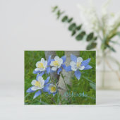 Kolumne Colorado Postkarte (Stehend Vorderseite)