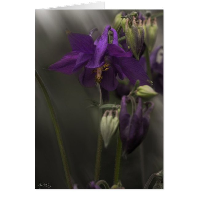 Kolumne im Sonnenlicht (Vorne)