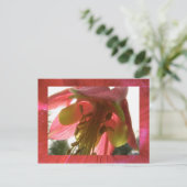 Kolumne Postkarte (Stehend Vorderseite)