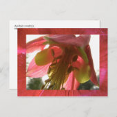 Kolumne Postkarte (Vorne/Hinten)