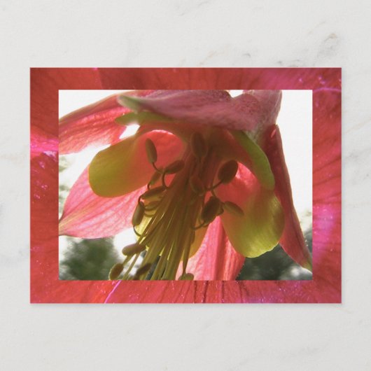 Kolumne Postkarte (Vorderseite)