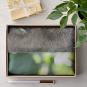 KOM(2014) 1201 SEIDENPAPIER (Geschenk)
