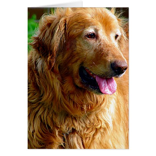 Kombination mit Ölfarbe (Vorne)