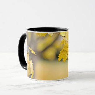 Kombitasse Tasse
