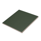 Kombu Green Solid Color Fliese (Seite)