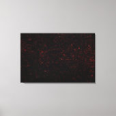 Komet P: Shoemaker-Levy 9 Leinwanddruck (Vorderseite)