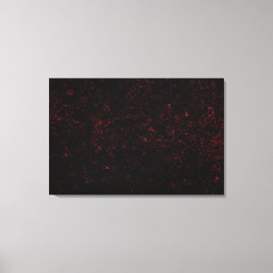 Komet P: Shoemaker-Levy 9 Leinwanddruck