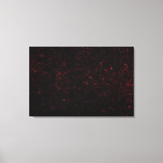 Komet P: Shoemaker-Levy 9 Leinwanddruck (Vorderseite)