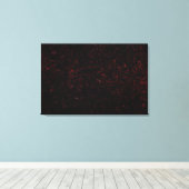 Komet P: Shoemaker-Levy 9 Leinwanddruck (Insitu (Holzboden))