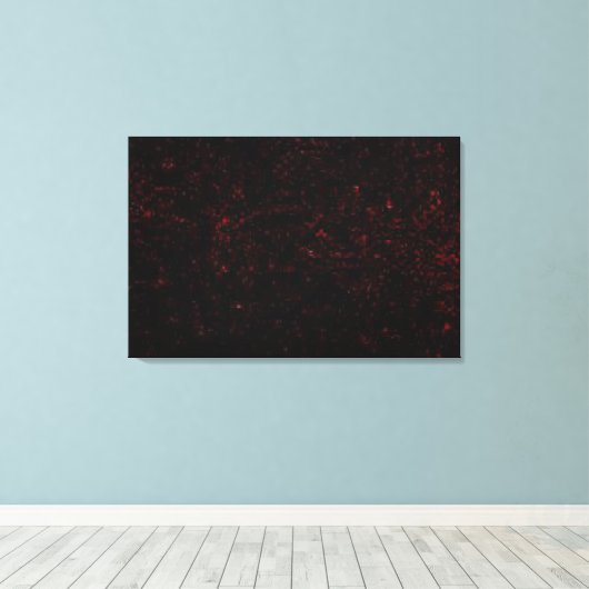 Komet P: Shoemaker-Levy 9 Leinwanddruck (Insitu (Holzboden))