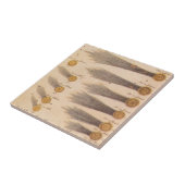 Kometen von Stanislaw Lubieniecki, Vintage Astrono Fliese (Seite)